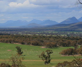 Sukey Hill Lookout - ACT Tourism 0