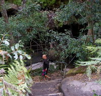 Leura Cascades Fern Bower - ACT Tourism