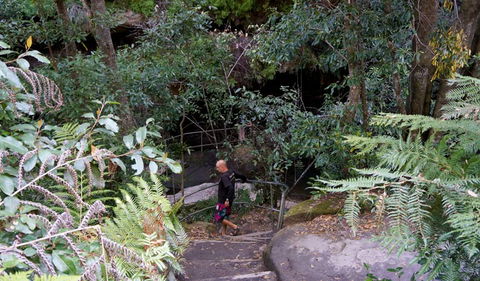 Leura Cascades Fern Bower - ACT Tourism 0