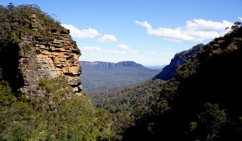 Leura Cascades Fern Bower - ACT Tourism 1