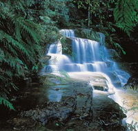 Leura Cascades - ACT Tourism
