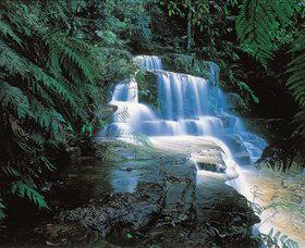 Leura Cascades - ACT Tourism 0