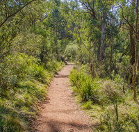 Mares Forest Creek walking track - ACT Tourism