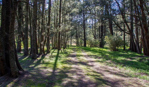 Wombeyan Waterfall Walking Track - ACT Tourism 0