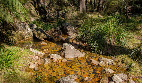 Wombeyan Waterfall Walking Track - ACT Tourism 1
