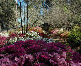 Wildwood Garden - ACT Tourism 2