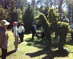 Wildwood Garden - ACT Tourism 3