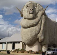 Big Merino - ACT Tourism