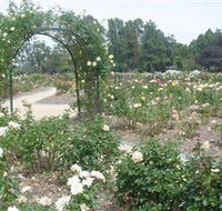 Victoria Park Rose Garden - ACT Tourism