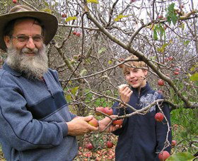 Pine Crest Orchard - ACT Tourism 0