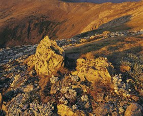 Kosciuszko National Park - Charlottes Pass To Snowy River - ACT Tourism 1
