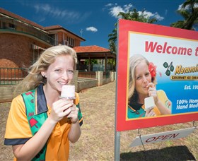 Mammino Gourmet Ice Cream - ACT Tourism 3