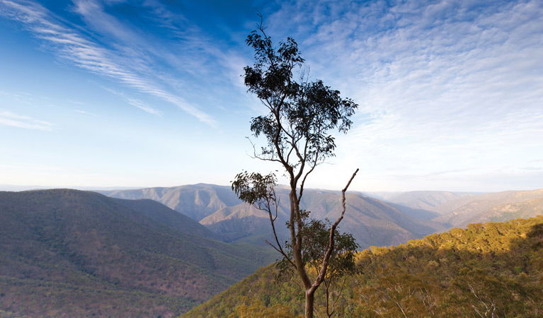 Mihi NSW ACT Tourism