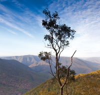 Salisbury Waters walking track - ACT Tourism