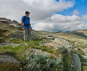 Kosciuszko National Park - ACT Tourism 3