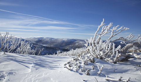 Rock Creek Snowshoe Track - ACT Tourism 0
