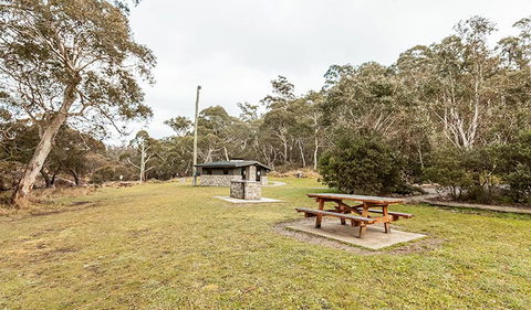 Thredbo River Picnic Area - ACT Tourism 0