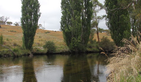 Thredbo River Picnic Area - ACT Tourism 3