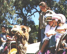 Calamunnda Camel Farm  - ACT Tourism 2