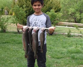 Eucumbene Trout Farm - ACT Tourism 3