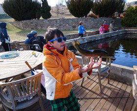 Eucumbene Trout Farm - ACT Tourism 2