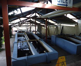 Eucumbene Trout Farm - ACT Tourism 5