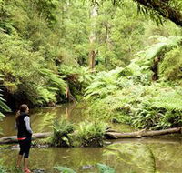 Morwell National Park - ACT Tourism
