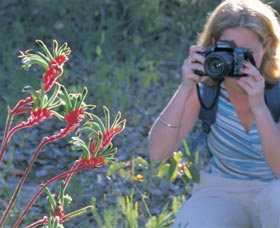 Kalamunda National Park - ACT Tourism 1