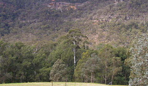 Bangadilly National Park - ACT Tourism 0