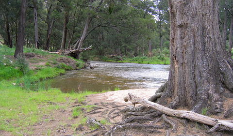 Bangadilly National Park - ACT Tourism 3