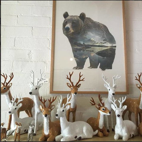 Made By Others - ACT Tourism 4