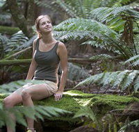 Barrington Tops National Park - Honeysuckle Forest Track - ACT Tourism