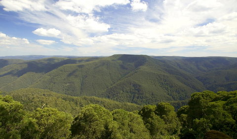 Barrington Tops National Park - ACT Tourism 0