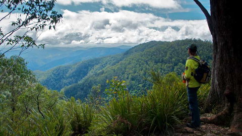 Barrington Tops National Park - ACT Tourism 3