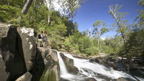 Barrington Tops National Park - ACT Tourism 2