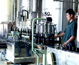 Sun Masamune Sake Brewery - ACT Tourism 2