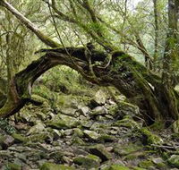 Mitchell River National Park - ACT Tourism