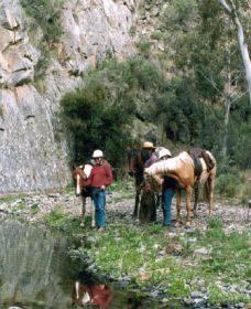 Yarramba Horse Riding - ACT Tourism 0