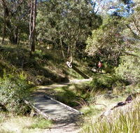 Wollomombi walking track - ACT Tourism