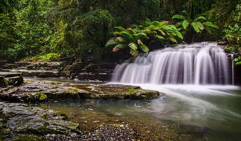 Rocky Crossing Walk - ACT Tourism 0
