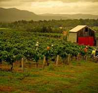 Around Hermitage Wine and Food Trail Hunter Valley - ACT Tourism
