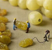 Hunter Valley Wine School - ACT Tourism