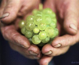 Keith Tulloch Wine - ACT Tourism 1
