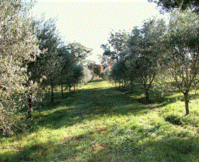 Langdale Farm - ACT Tourism