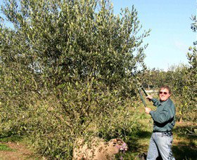 Langdale Farm - ACT Tourism 3