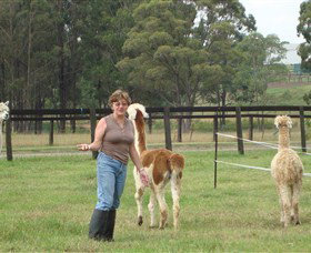 Langdale Farm - ACT Tourism 4