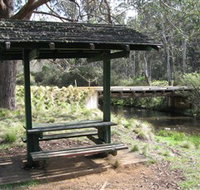 Barrington Tops State Forest - ACT Tourism