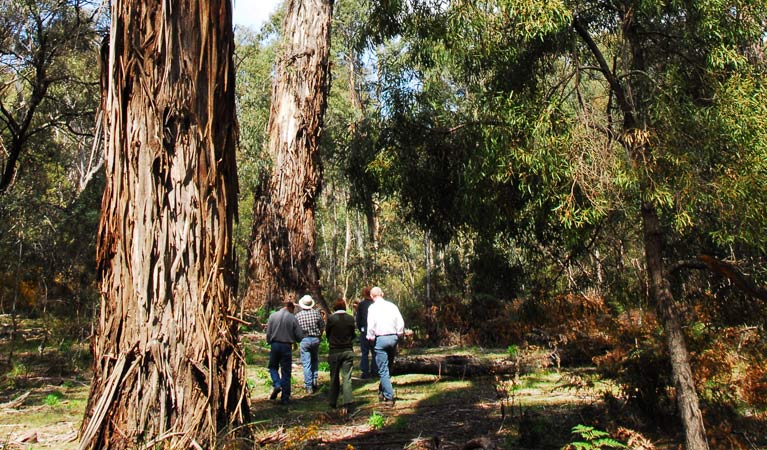 Reidsdale NSW ACT Tourism