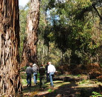 Tallaganda National Park - ACT Tourism