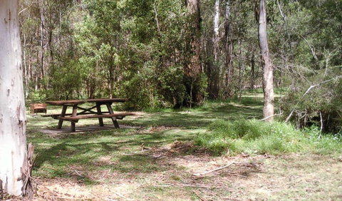 Tallaganda National Park - ACT Tourism 1